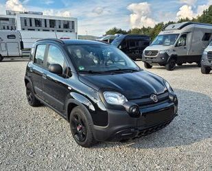 Fiat Panda Gebrauchtwagen