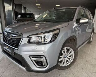 Subaru Forester Gebrauchtwagen