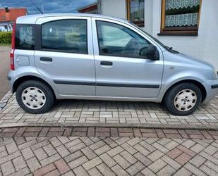 Fiat Panda Gebrauchtwagen