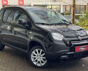 Fiat Panda Gebrauchtwagen
