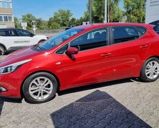 Kia ceed / Ceed Gebrauchtwagen