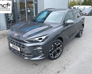 Cupra Terramar Gebrauchtwagen