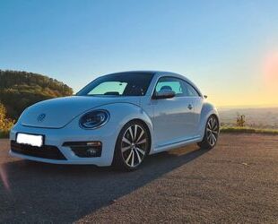 VW Beetle Gebrauchtwagen