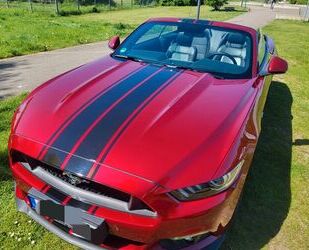 Ford Mustang Gebrauchtwagen