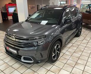 Citroen C5 Aircross Gebrauchtwagen