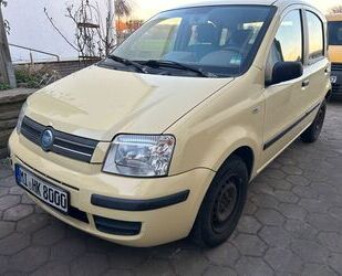 Fiat Panda Gebrauchtwagen