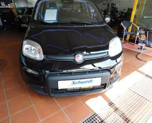 Fiat Panda Gebrauchtwagen