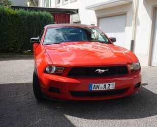 Ford Mustang Gebrauchtwagen