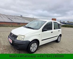 Fiat Panda Gebrauchtwagen
