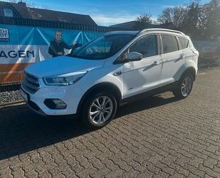 Ford Kuga Gebrauchtwagen