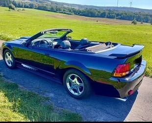 Ford Mustang Gebrauchtwagen