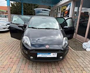Fiat Punto Gebrauchtwagen