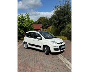 Fiat New Panda Gebrauchtwagen
