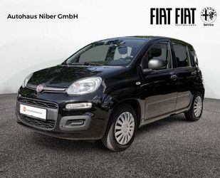Fiat Panda Gebrauchtwagen