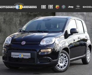 Fiat Panda Gebrauchtwagen