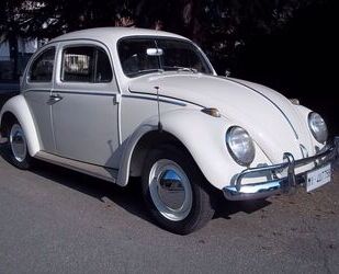 VW Beetle Gebrauchtwagen