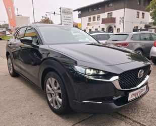 Mazda CX-30 Gebrauchtwagen