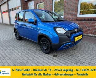 Fiat Panda Gebrauchtwagen