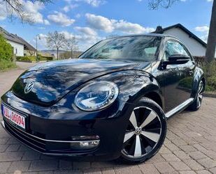 VW Beetle Gebrauchtwagen