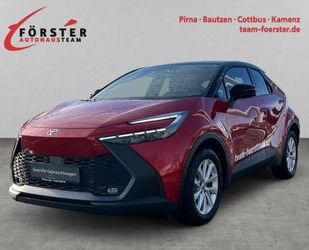 Toyota C-HR Gebrauchtwagen