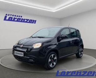 Fiat Panda Gebrauchtwagen