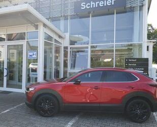 Mazda CX-30 Gebrauchtwagen