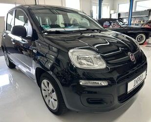 Fiat Panda Gebrauchtwagen