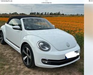 VW Beetle Gebrauchtwagen