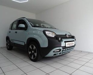 Fiat Panda Gebrauchtwagen