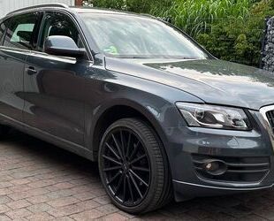 Audi Q5 Gebrauchtwagen