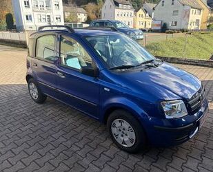 Fiat Panda Gebrauchtwagen