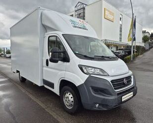 Fiat Ducato Gebrauchtwagen