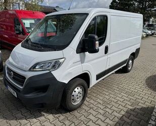 Fiat Ducato Gebrauchtwagen