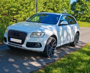 Audi Q5 Gebrauchtwagen