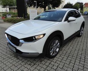 Mazda CX-30 Gebrauchtwagen