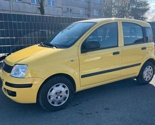 Fiat Panda Gebrauchtwagen