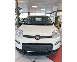 Fiat Panda Gebrauchtwagen