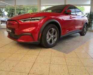 Ford Mustang Mach-E Gebrauchtwagen