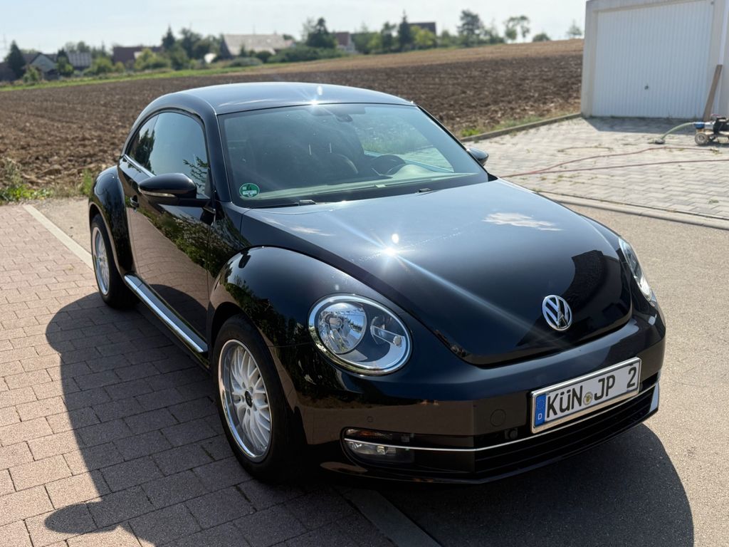Bild 1