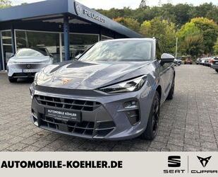 Cupra Terramar Gebrauchtwagen