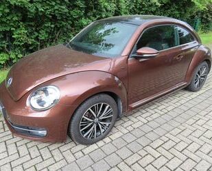 VW Beetle Gebrauchtwagen