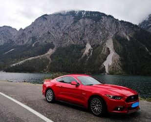 Ford Mustang Gebrauchtwagen
