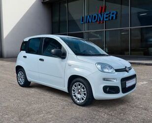 Fiat Panda Gebrauchtwagen