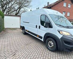 Fiat Ducato Gebrauchtwagen