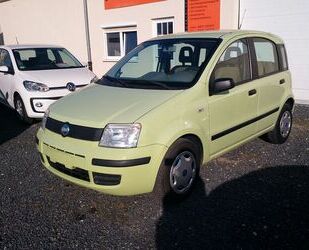 Fiat Panda Gebrauchtwagen