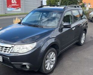 Subaru Forester Gebrauchtwagen