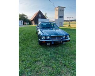 Jaguar XJ12 Gebrauchtwagen