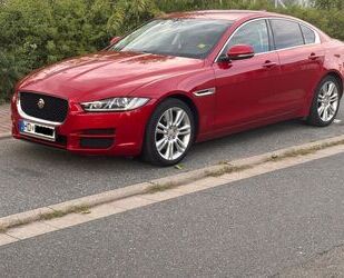 Jaguar XE Gebrauchtwagen