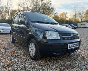 Fiat Panda Gebrauchtwagen