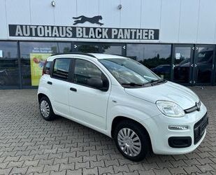 Fiat Panda Gebrauchtwagen